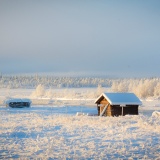 Jeris week 45 12-4799